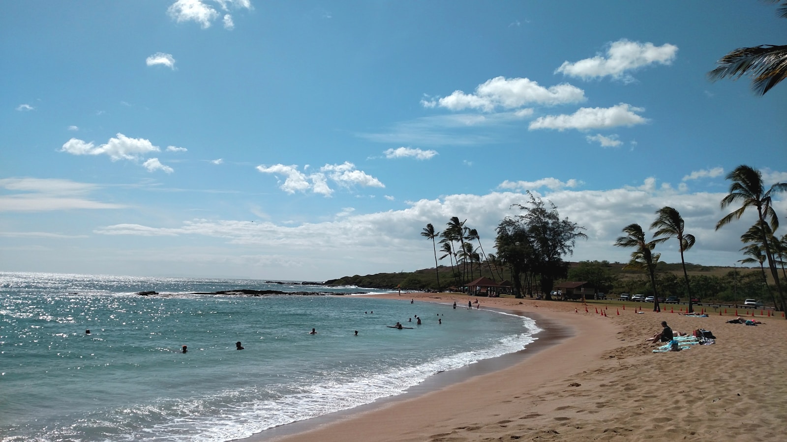 people on beach during daytime